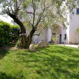 Tutt�intorno ulivi, siepi e arbusti. L�ampio giardino che circonda la masseria � un tripudio di verde ma non solo...